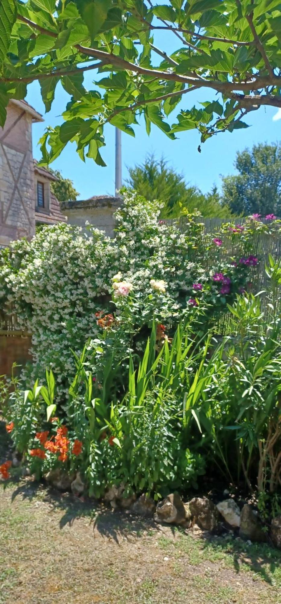 Maison A La Campagne Blis-et-Born Εξωτερικό φωτογραφία