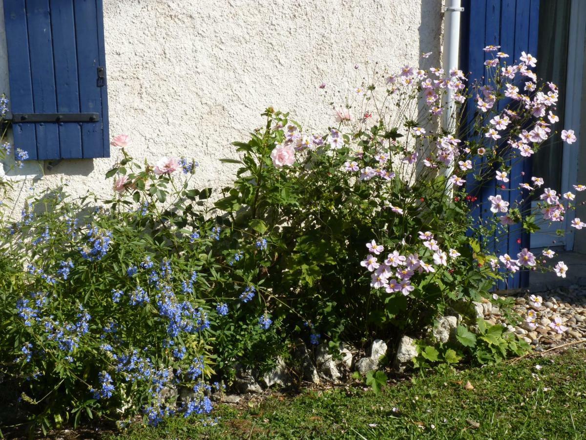 Maison A La Campagne Blis-et-Born Εξωτερικό φωτογραφία